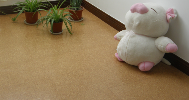 軟木地板的優勢是什么，中林帶你了解一下！